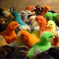 Check de diversiteit van je netwerk