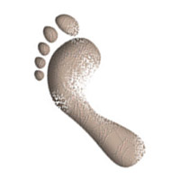 Het is niet waar je vandaan komt